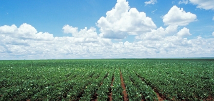 Nobel para Paolinelli? Seu legado para a agricultura sustentável brasileira
