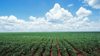 Nobel para Paolinelli? Seu legado para a agricultura sustentável brasileira