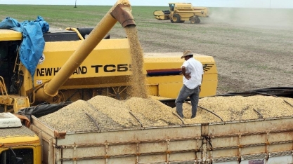 Frete rodoviário agrícola sobe 13% no ano mas recua neste último trimestre