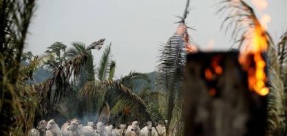 Entenda por que Brasil chega desacreditado à cúpula do clima COP26