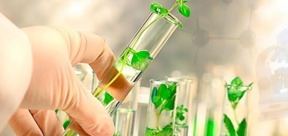 Corte de verba para ciência e tecnologia traz risco à pesquisa agropecuária