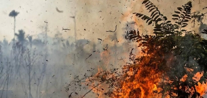 Países devem assumir um compromisso sustentável e sério em Glasgow