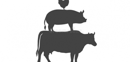 Setor de carnes terá mais um ano recorde nas exportações 