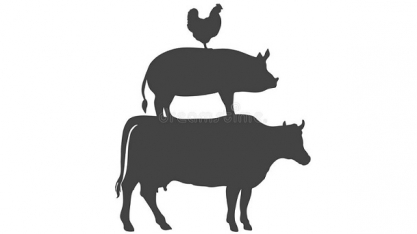 Setor de carnes terá mais um ano recorde nas exportações 