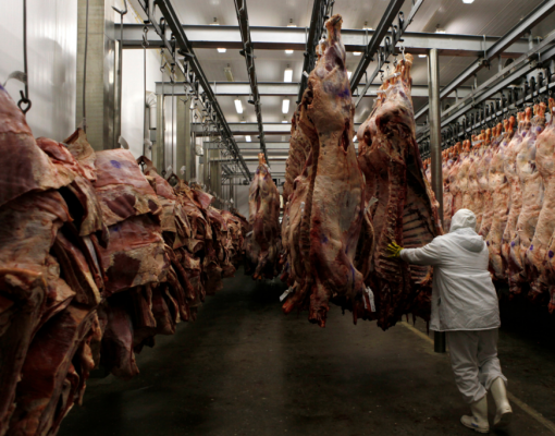 Preço do boi rola ladeira abaixo; queda não chega ao bolso do consumidor 