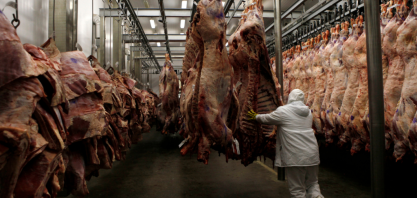 Preço do boi rola ladeira abaixo; queda não chega ao bolso do consumidor 