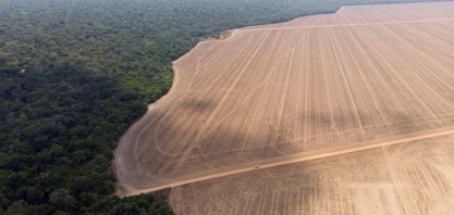 Desmatamento impulsiona emissões de CO2 no Brasil em 2020