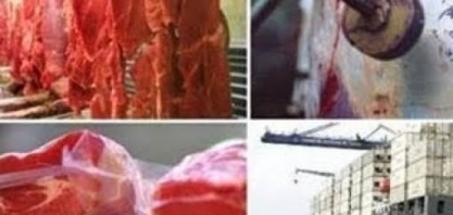 EUA se tornou em agosto o 2º maior importador de carnes do Brasil