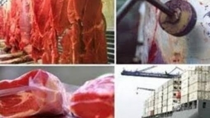 EUA se tornou em agosto o 2º maior importador de carnes do Brasil
