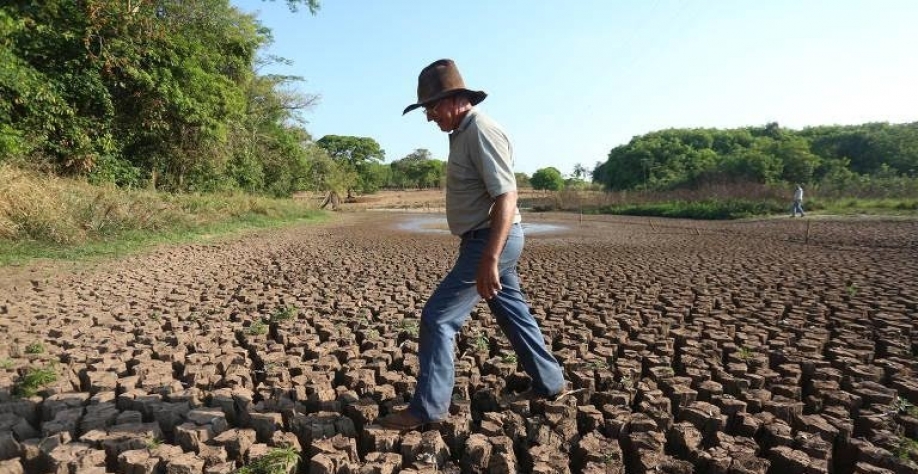 Seca freia negócios e muda paisagem no campo