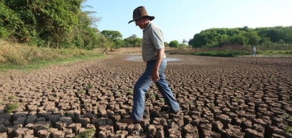 Seca freia negócios e muda paisagem no campo