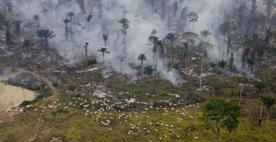 Como a carne virou 'vilã' em mudança climática e entrou na mira da COP26
