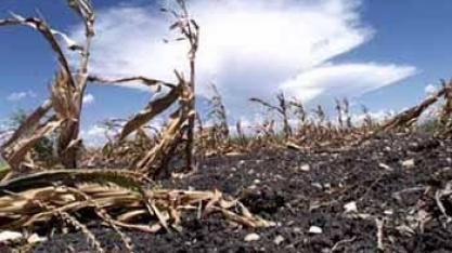 Mudanças climáticas afetam agricultura
