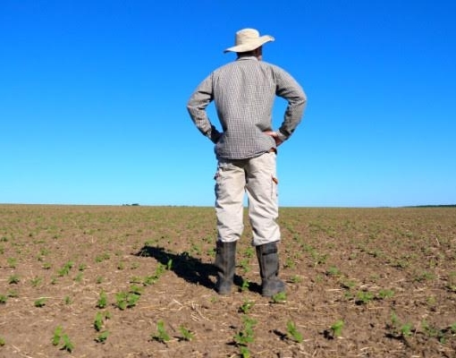 Inadimplência cai no setor rural, mas saldo ainda é elevado