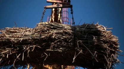 Plano da Índia para mistura de 20% de etanol cortará subsídio ao açúcar