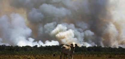 Brasil cortou 93% da verba para pesquisa em mudanças climáticas