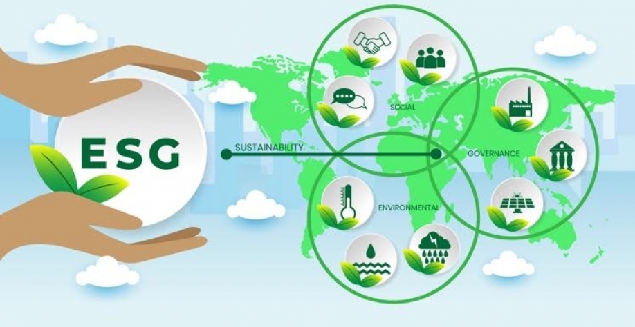 Lado B de negócios no Brasil concilia rentabilidade à agenda sustentável