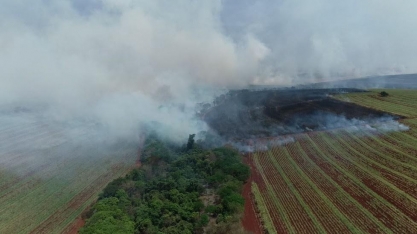 Seca, geada e incêndios reduzem produção de cana em São Paulo