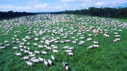 Entenda os desafios do agro para conter o aquecimento global