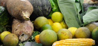 Como três tecnologias escaláveis ​​podem combater a insegurança alimentar