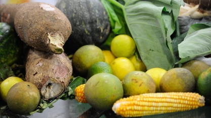 Como três tecnologias escaláveis ​​podem combater a insegurança alimentar