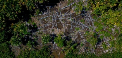 Ex-potência ambiental, Brasil chega à COP26 com reputação derretida