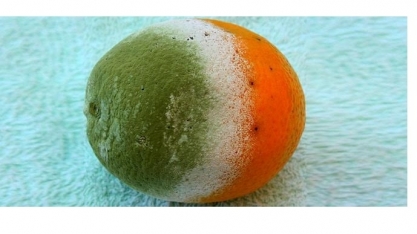 Reino Unido julgará ação movida por brasileiros contra prática de cartel