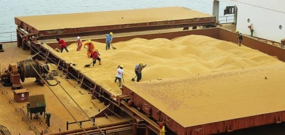 Soja: Importação da China cai 25,7% em outubro ante setembro