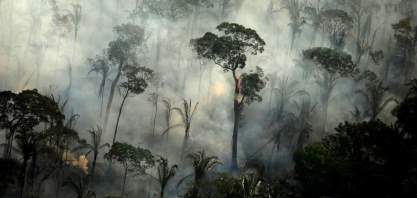 5 pastas ligam suas ações a falsa queda do desmate