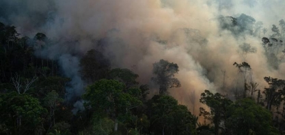 Declaração de Florestas apoia comércio agrícola livre de desmatamento