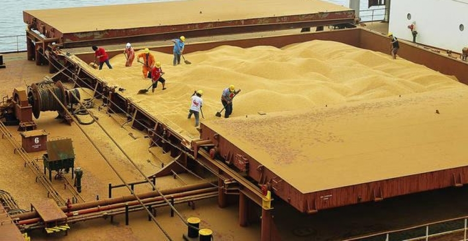 Abiove vê  recorde e exportações de soja de US$ 51,9 bilhões em 2022