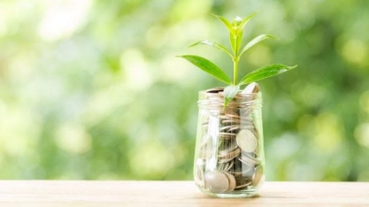 COP26: Qual o papel do empresariado brasileiro no meio ambiente?