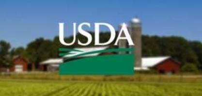 USDA reduz estimativa de produção de soja e eleva de milho