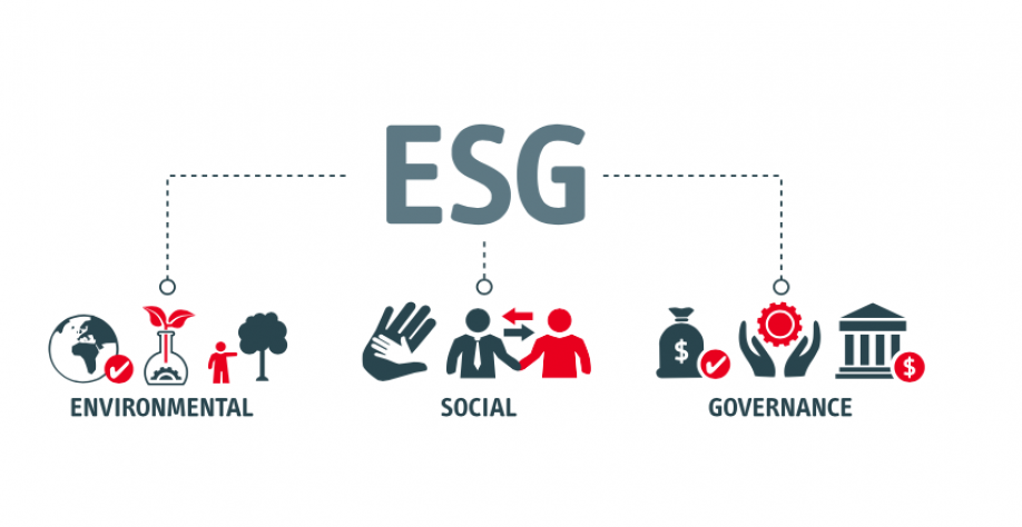 Conheça as startups de maior destaque em práticas de ESG