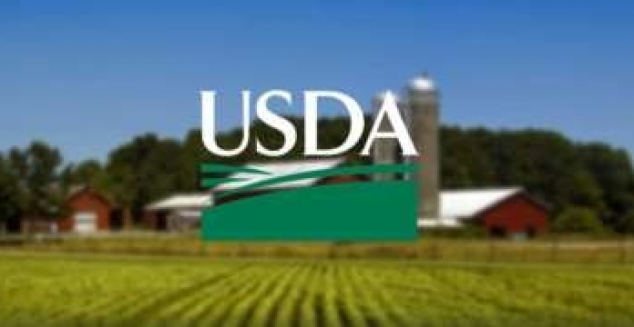 Estudo do USDA destaca liderança do Brasil em produtividade agropecuária 