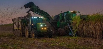 Cana: Centro-Sul processa 12,552 milhões de t na 1ª quinzena de novembro