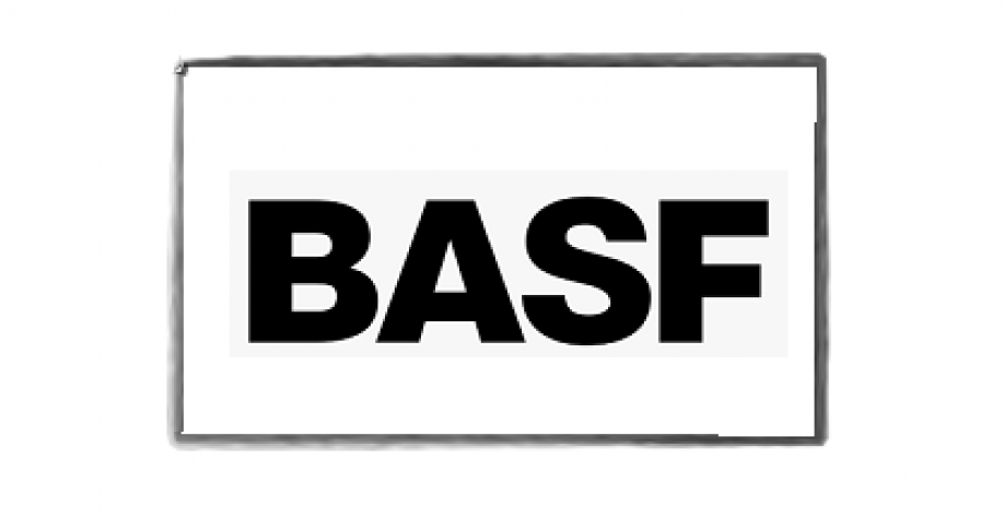 Basf cria subsidiária para atividades de energia renovável