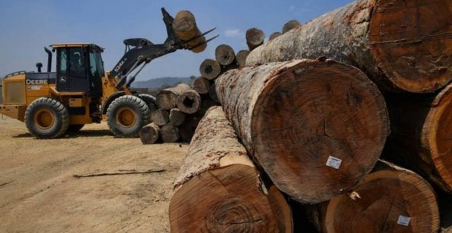 Brasil, Bolívia e Peru estão entre campeões mundiais de desmatamento