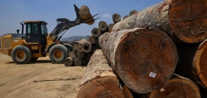 Brasil, Bolívia e Peru estão entre campeões mundiais de desmatamento