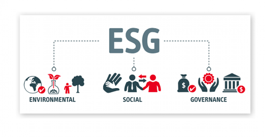 KPMG: 65% das empresas incluem práticas ESG nas estratégias de negócios