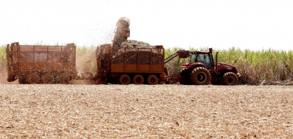 Etanol entra no radar das usinas e produção de açúcar do Centro-Sul desaba