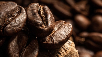 Safra de café 22/23 somaria 62 mi sacas, aponta cenário base do Itaú BBA