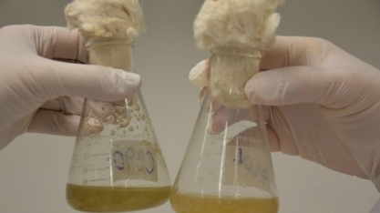 Embrapa divulga três princípios para a produção de bioinsumos “on farm”