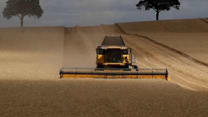 China reduz importação de soja dos EUA após atrasos e Brasil ganha espaço 