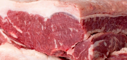 Mais dois frigoríficos são autorizados para exportar à Rússia 