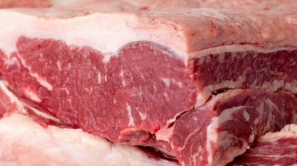 Mais dois frigoríficos são autorizados para exportar à Rússia 