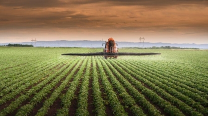 3ª estimativa para safra 2021/22 indica recorde de 291,07 mi de t