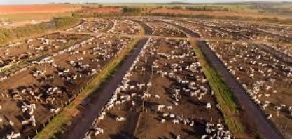  DSM divulga censo de confinamento de 2021