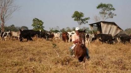 Tentativa de considerar pecuaristas e garimpeiros como povos tradicionais