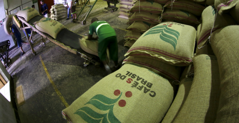 Café: Exportação em novembro cai 36% ante ano anterior